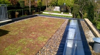 Green-Roofing-Solution