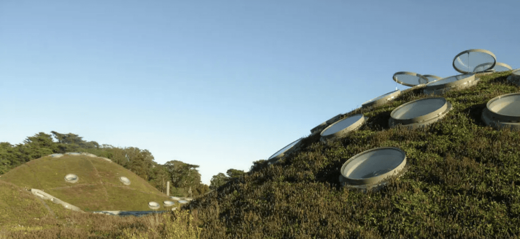 California academy of sciences