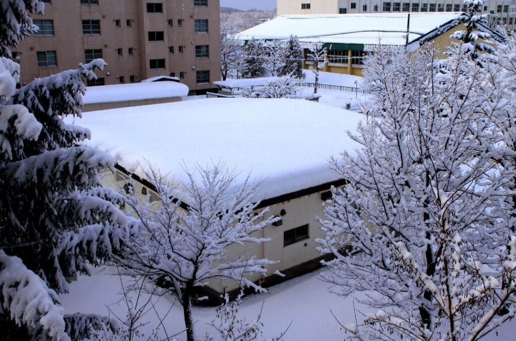 snow on flat roof