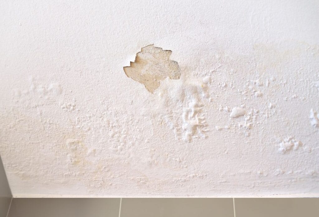 5 Warning Signs of Flat Roof Condensation Issues