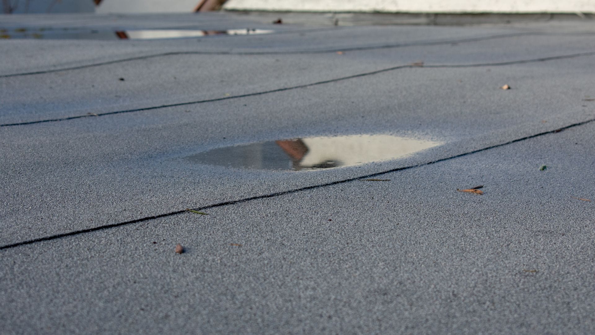 Puddle of water accumulated on a flat roof, highlighting drainage issues and potential roof damage.